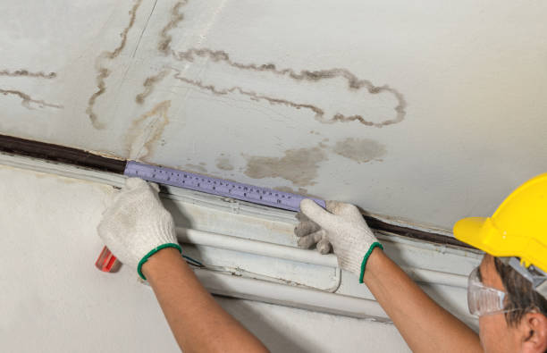 Reliable Mold Remediation contractor in Foreston, MN by Water Damage Irwin